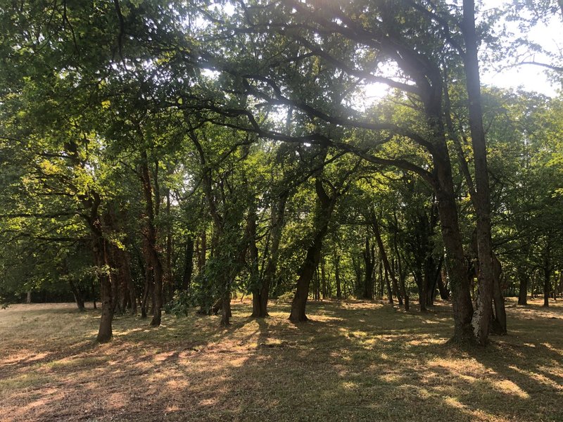 Domaine AbracadaRoom : Le Jardin Des Cabanes - Image 6