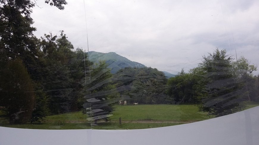 Hébergement AbracadaRoom : Lit-Bulle du Gave d'Ossau - Image 6