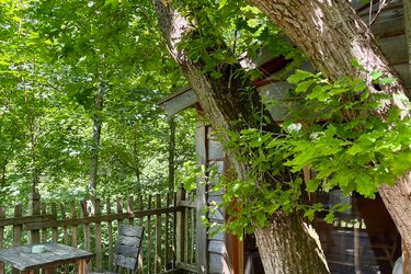 Cabane Secrète à Raray (4)