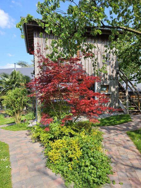 Hébergement AbracadaRoom : La Grande Ourse - Image 12