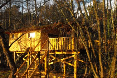 cabane dans les arbres des cerfs