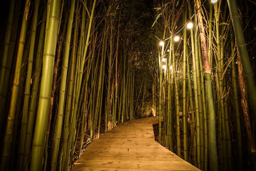 Hébergement AbracadaRoom : La Cabane des Bambous - Image 13