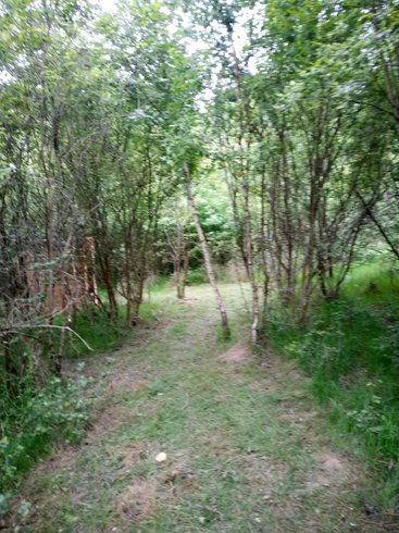 Hébergement AbracadaRoom : Tente sur pilotis des Souciers - Image 8