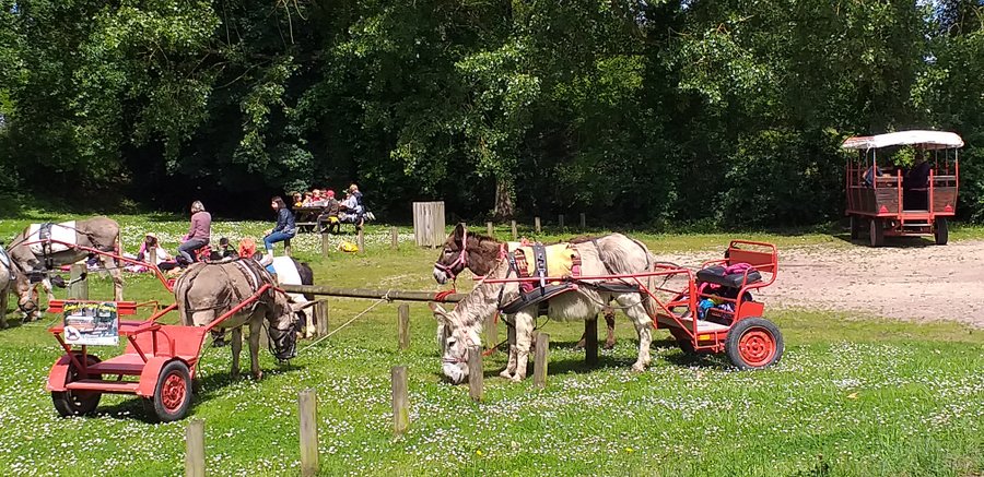 Hébergement AbracadaRoom : Cabane des Elfes - Image 10