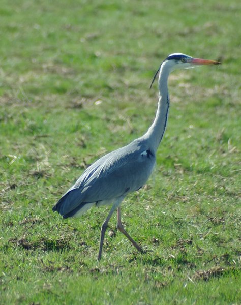 Domaine AbracadaRoom : Glamping La Fraventure - Image 40