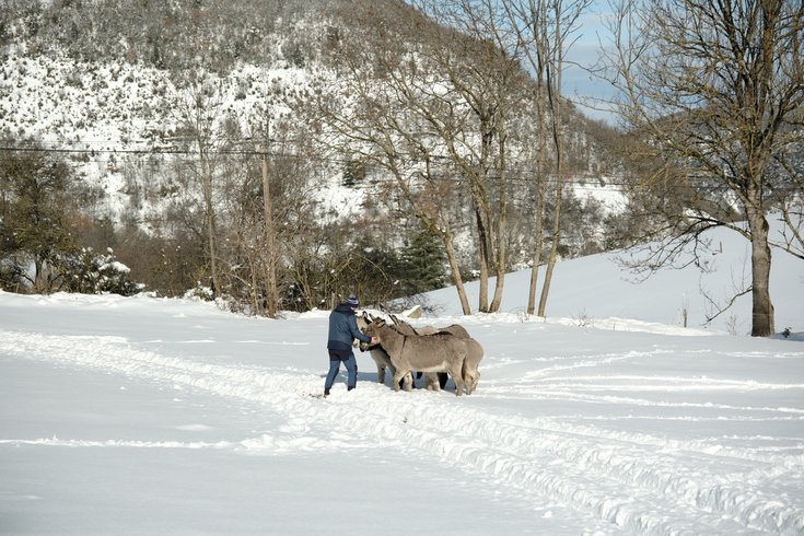 Domaine AbracadaRoom : Homnest (Escouloubre) - Image 14