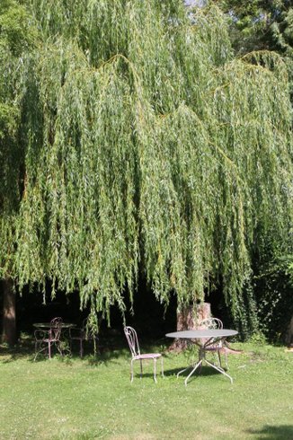 Hébergement AbracadaRoom : Le Chalet de l'étang - Image 15