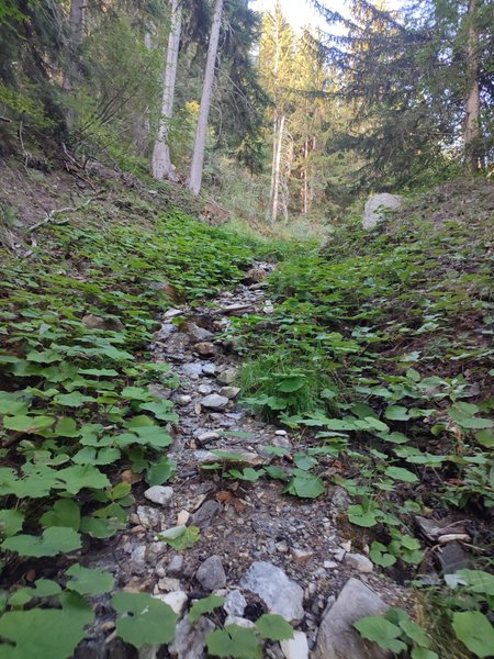 Domaine AbracadaRoom : L'Art 2 Lier - Image 17