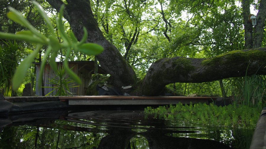Hébergement AbracadaRoom : La Cabane du Pèlerin - Image 13