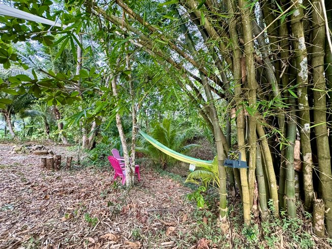 Hébergement AbracadaRoom : BULLE RIVIERA & SPA - Image 13