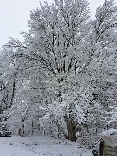 Domaine AbracadaRoom : Le Refuge d'Yzeron - Image 51