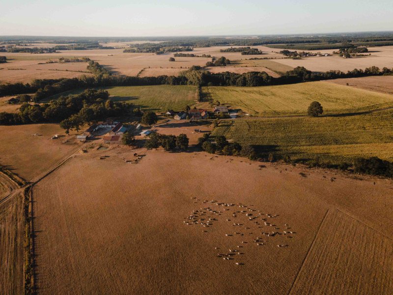 Domaine AbracadaRoom : Parcel Tiny House - en Touraine proche du Zoo de Beauval - Image 11