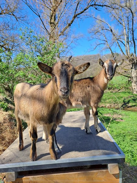 Hébergement AbracadaRoom : L'Ephémère & Spa - Image 15
