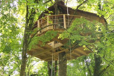 Cabane des Lémuriens à Magné (2)