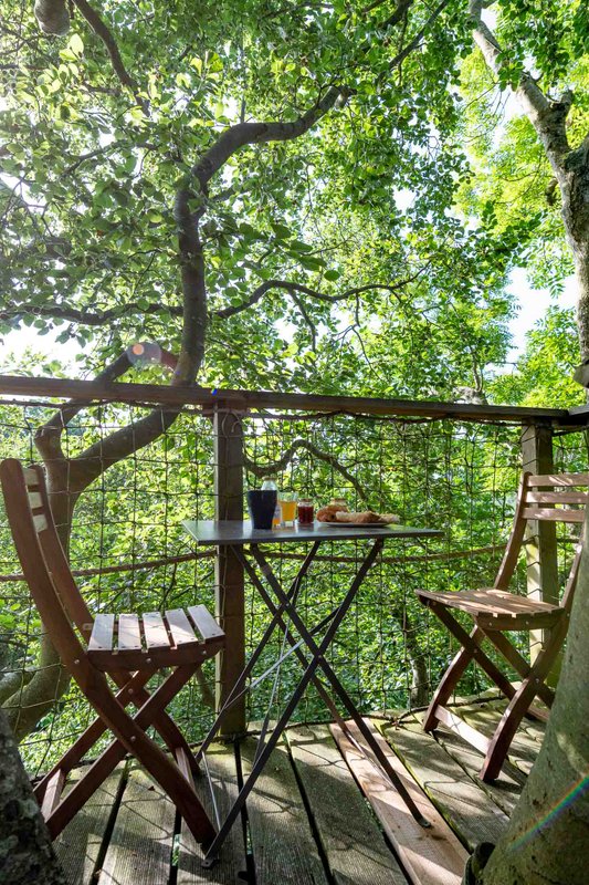 Cabane Grand Duc à Saint Pierre Azif (4)