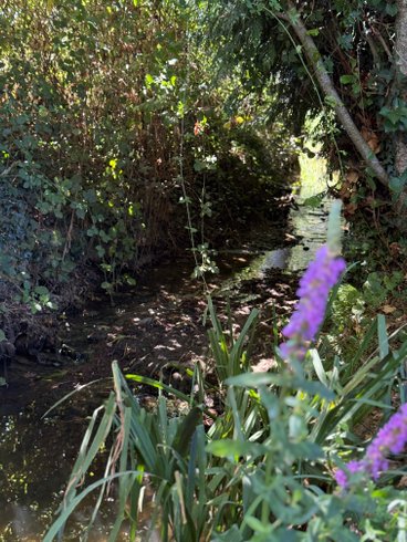 Domaine AbracadaRoom : La roulotte dorée - Image 31