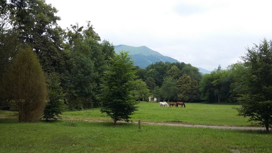 Domaine AbracadaRoom : Aire du Gave d'Ossau - Image 1