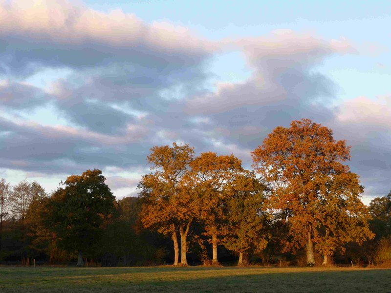 Domaine AbracadaRoom : Domaine de la Boderie - Image 6