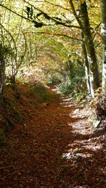 Domaine AbracadaRoom : La Cage aux Oiseaux - Image 12