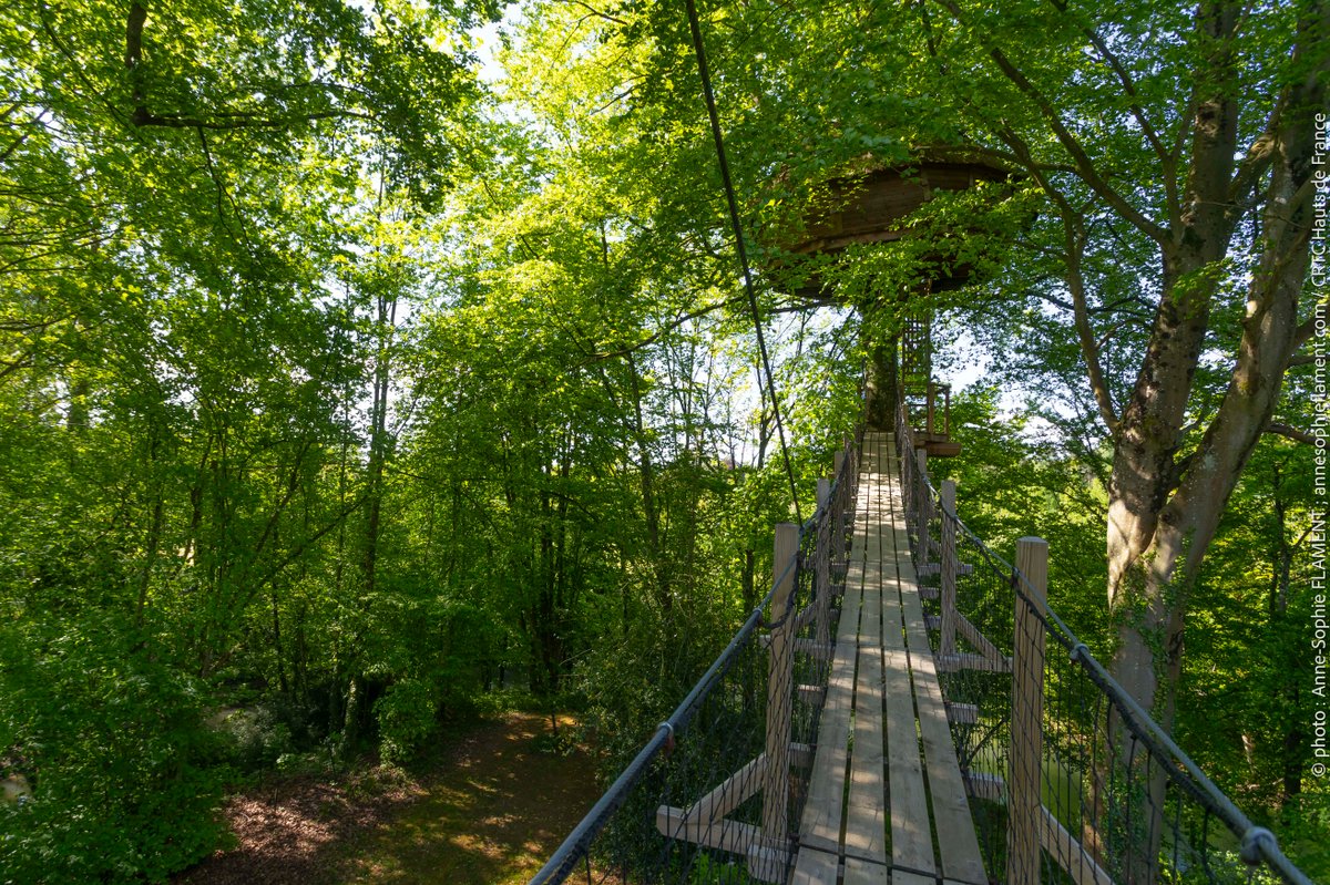 La cabane Haut-Perchée & Spa à Wail (11)