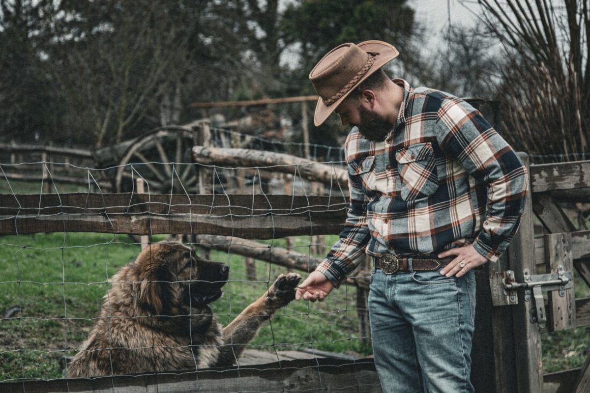 Le Ranch Normand à Les Cresnays (27)