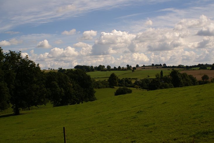 Domaine AbracadaRoom : Le Chêne Perché - Image 3