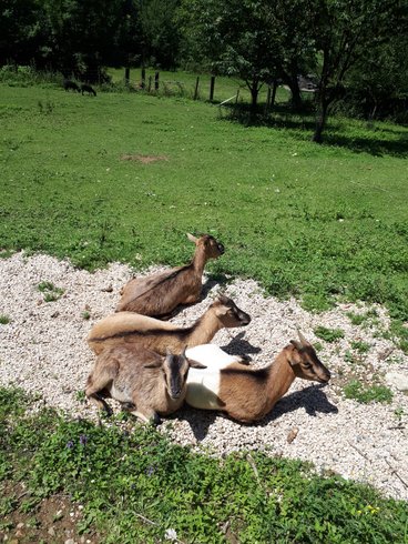 Domaine AbracadaRoom : Le Perchoir des Pyrénées - Image 11