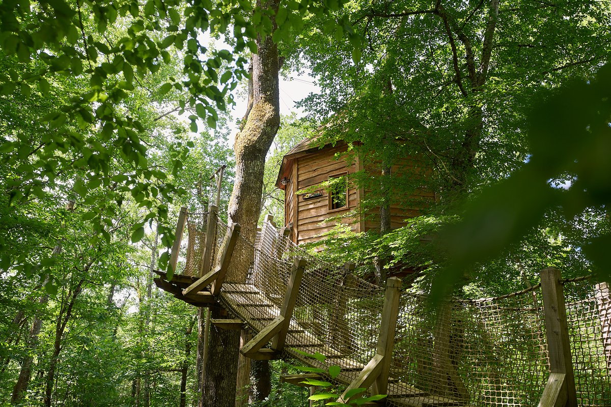Cabane avec spa "Cocoon" à Lamothe-Fénelon (21)