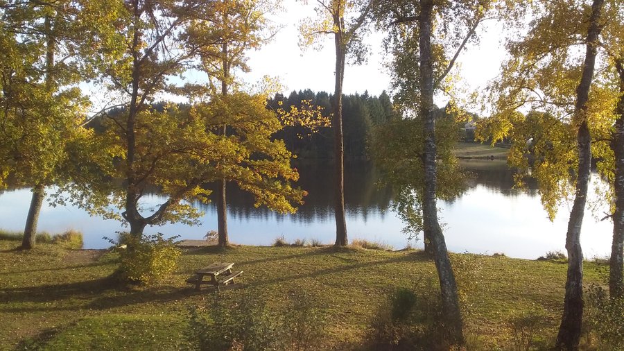 Hébergement AbracadaRoom : Dôme perché au bord du lac - Image 6