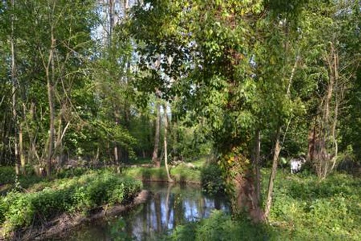 Domaine AbracadaRoom : Natur'Bulle - Image 7