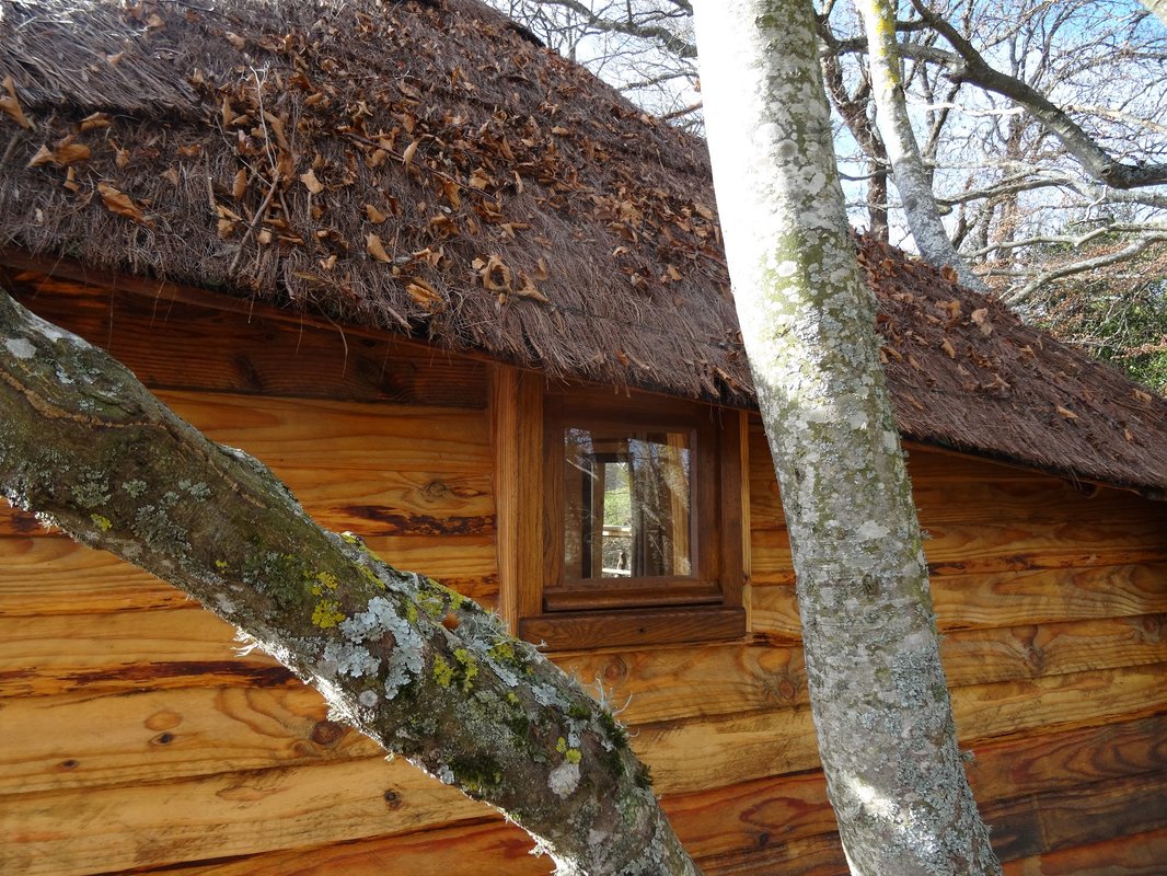 La Cabane des Fayards à Saint Agrève (4)