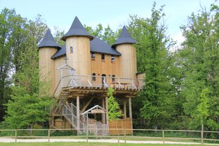 Château dans les branches