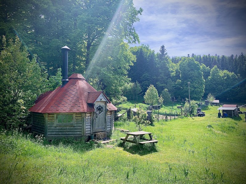 Hébergement AbracadaRoom : Kota 4 Zima - Séjour inoubliable auprès de huskies - Image 1