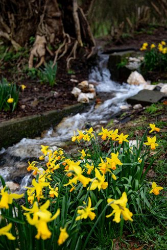Domaine AbracadaRoom : Le Ranch Normand - Image 14