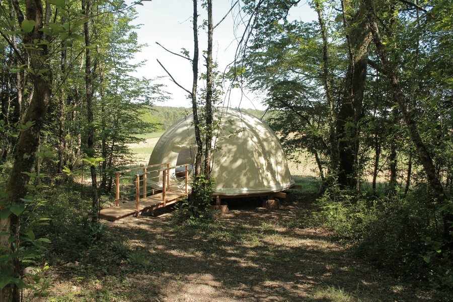 Hébergement AbracadaRoom : Bulle de Forêt - Image 5