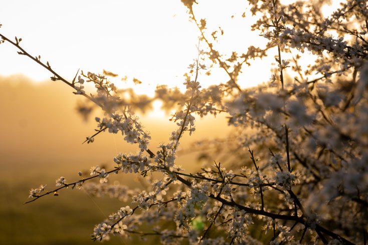 Domaine AbracadaRoom : Homnest (Billy) - Image 19