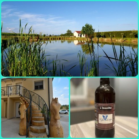 Domaine AbracadaRoom : Equi-lodges - Image 21