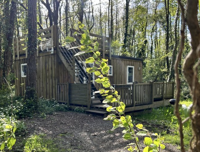 Hébergement AbracadaRoom : Le chalet CHENE avec petit déjeuner - Image 1