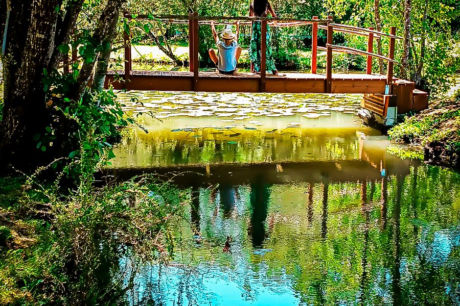 Lodge sur pilotis, étang privé, nature et biodiversité à Sarlat — photo 2