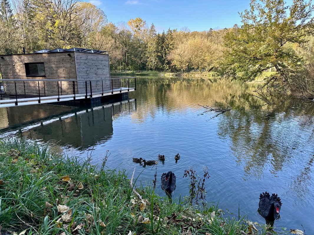 Cabane sur l'eau : L’Õthentique à Sainte Gemme (16)