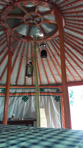 Hébergement AbracadaRoom : Yourte Altaï Séjour authentique auprès de huskies - Image 5