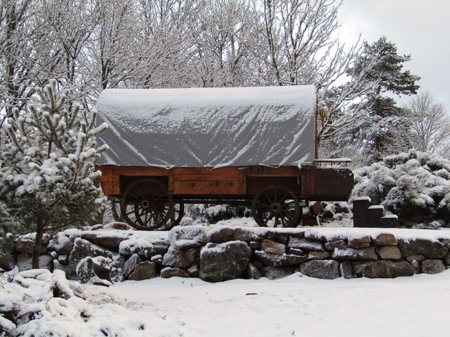 Hébergement AbracadaRoom : Calèche western - Image 1