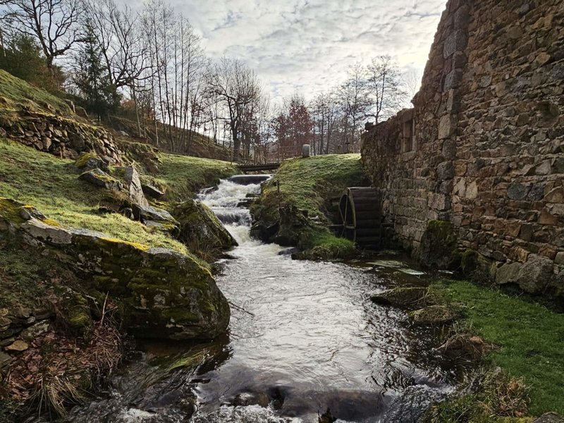 Domaine AbracadaRoom : Le Moulin de la Fortie - Image 1