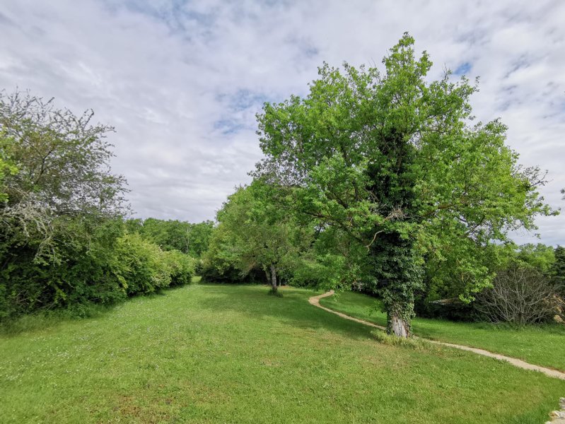 Domaine AbracadaRoom : A la douceur des chênes - Image 1