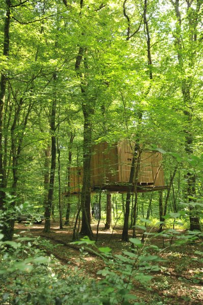 Hébergement AbracadaRoom : Cabane Ecureuil - Image 1