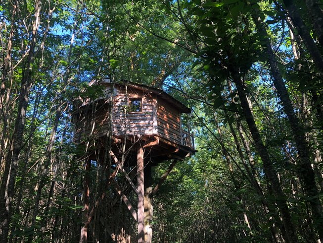 Hébergement AbracadaRoom : Cabane Ecureuil - Image 8