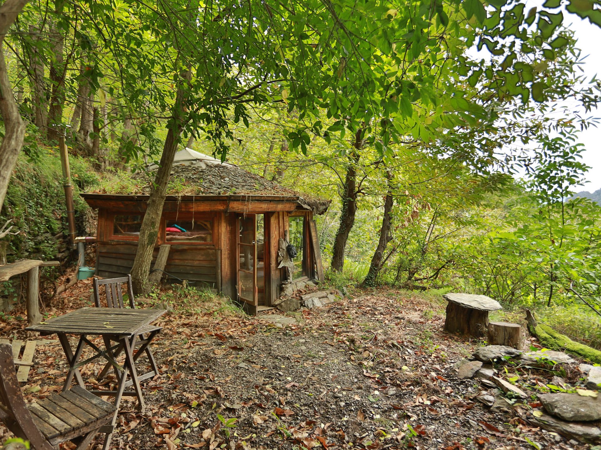 Petite cabane dans les bois