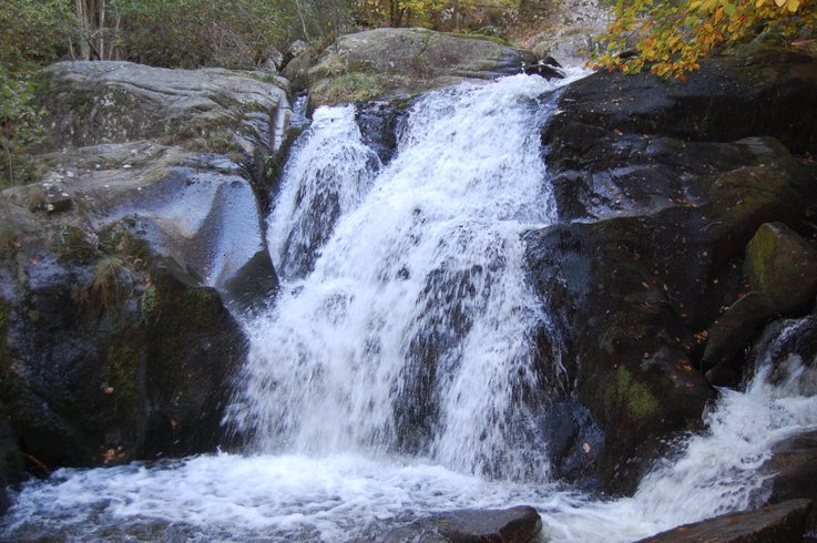 Domaine AbracadaRoom : Le Jardin de Kym - Image 9