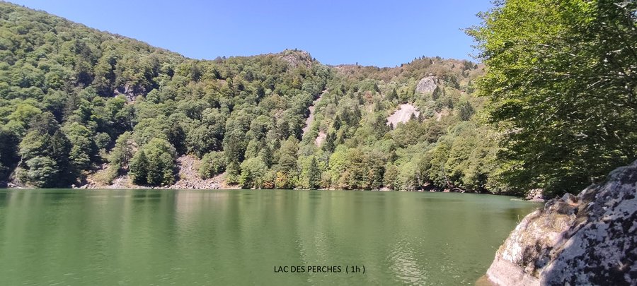 Domaine AbracadaRoom : La Pat' de l'ours - Image 8