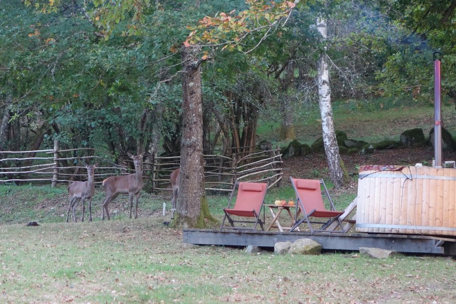 Domaine AbracadaRoom : Cabanes de Pyrène - Image 4